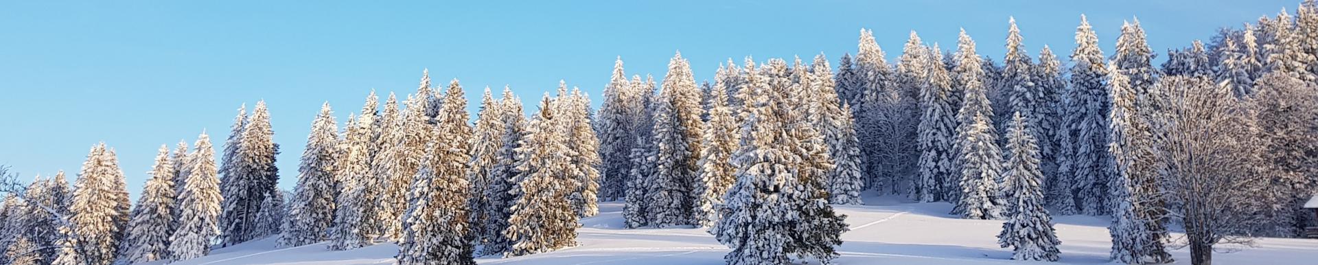 Jura bernois.Bienne