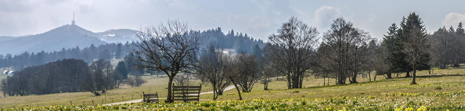 Jura bernois.Bienne